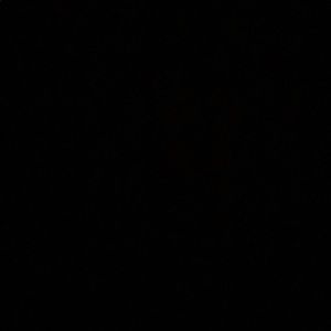 Meet your Posher, Sydney